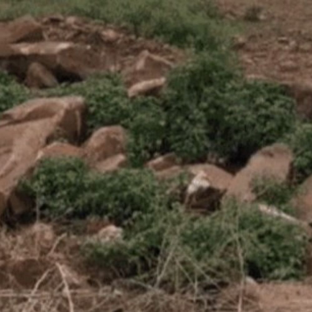 defence-factory-to-be-built-in-mp’s-shivpuri:investment-of-2,500-crores-on-103-acres-of-land;-more-than-2-thousand-will-get-employment