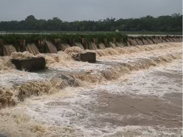 mp-completes-25%-of-seasonal-rain-quota:32-districts-get-excess-rainfall,-heavy-rain-alert-for-panna-and-satna-today