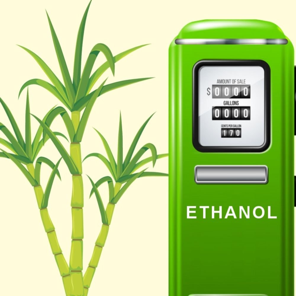 government-may-stop-use-of-sugarcane-for-ethanol-production:sugar-prices-rise-10%