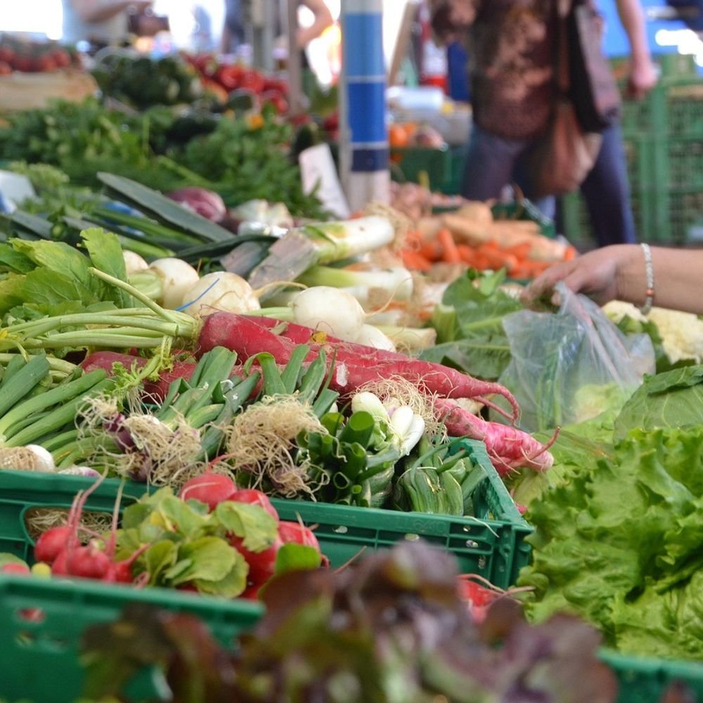 india’s-july-2026-inflation-data-due-today:onion,-tomato,-pulses-cooking-oil-prices-surge-—-3-factors-to-blame