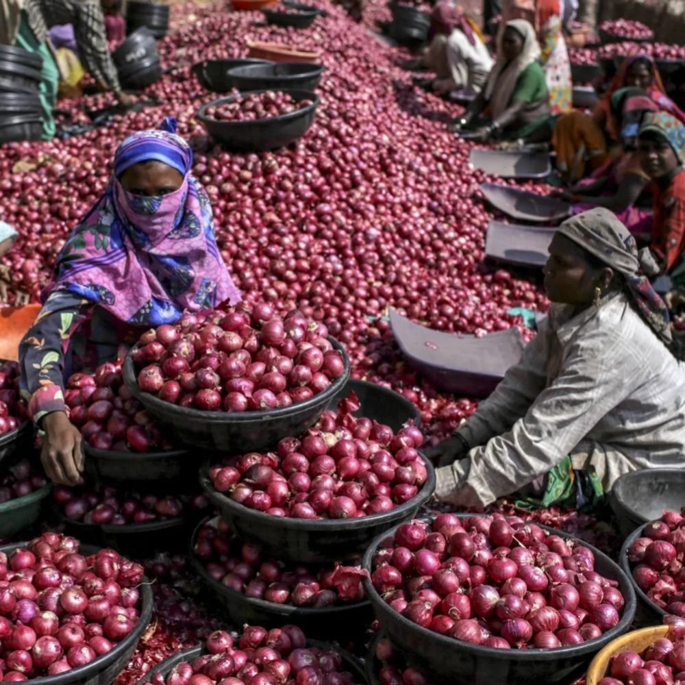 onion-prices-rise-82%-in-3-months:from-₹30-to-₹54-per-kg;-supply-from-maharashtra,-karnataka-declines,-but-prices-may-fall-soon